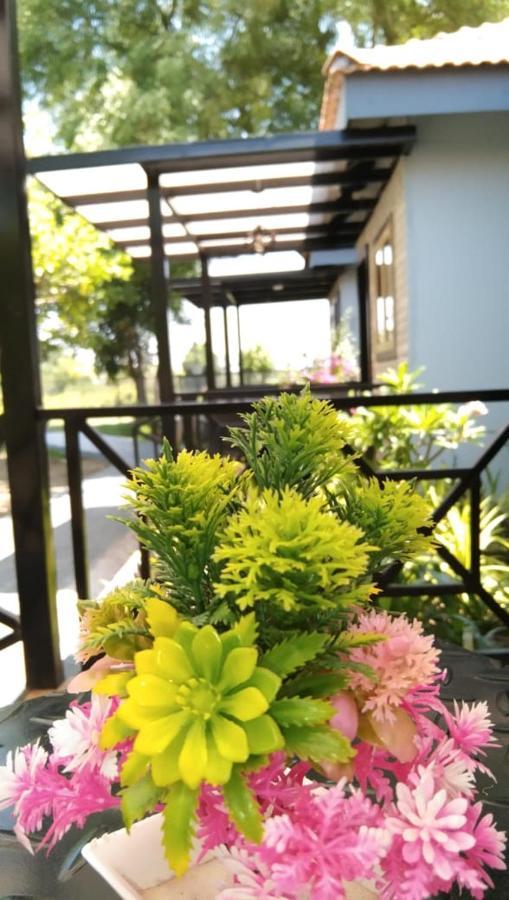 Agralam Cottages @Raghunandan Resort ナーシク エクステリア 写真